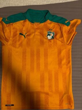 Puma Mens Côte d'Ivoire Home Soccer Jersey - Orange & Green